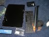 acer2 (Medium).jpg